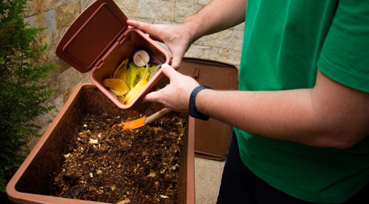 Composting in Schools